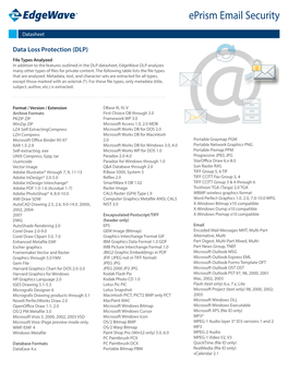 Data Loss Protection (DLP)