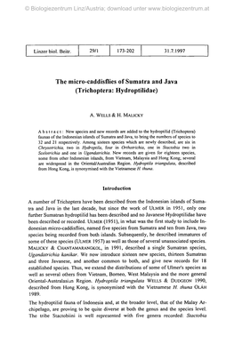 The Micro-Caddisflies of Sumatra and Java (Trichoptera: Hydroptilidae)