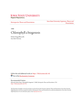 Chlorophyll a Biogenesis Robert King Ellsworth Iowa State University