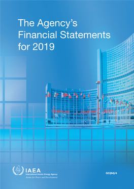 The Agency's Financial Statements for 2019