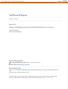 Vegetative Morphology and Anatomy of the Salt Marsh Rush, Juncus Roemerianus Lionel N