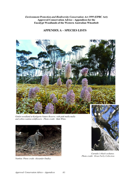 Approved Conservation Advice - Appendices for the Eucalypt Woodlands of the Western Australian Wheatbelt