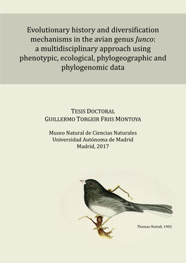 Evolutionary History and Diversi Ication Mechanisms in the Avian