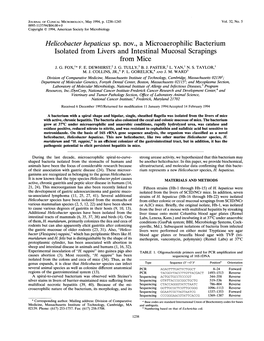 Helicobacter Hepaticus Sp. Nov., a Microaerophilic Bacterium Isolated from Livers and Intestinal Mucosal Scrapings from Mice J