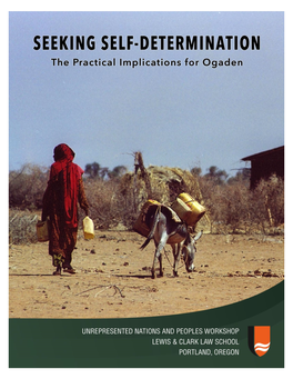 Seeking Self-Determination: the Practical Implications for Ogaden