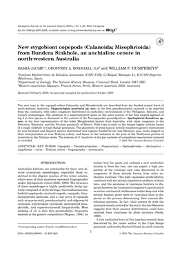 New Stygobiont Copepods (Calanoida; Misophrioida) from Bundera Sinkhole, an Anchialine Cenote in North-Western Australia