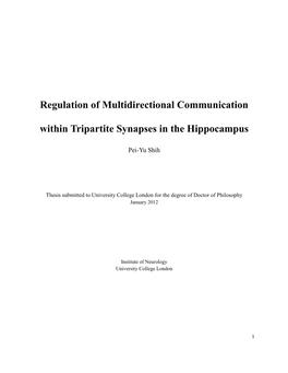 Regulation of Multidirectional Communication Within Tripartite Synapses in the Hippocampus