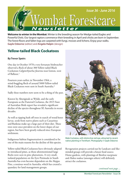 June 2016 Newsletter Yellow-Tailed Black Cockatoos