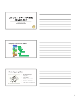 DIVERSITY WITHIN the GENUS APIS Advanced Level Training Texas Master Beekeeper Program