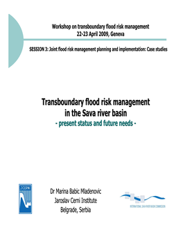 Transboundary Flood Risk Management in the Sava River Basin - Present Status and Future Needs