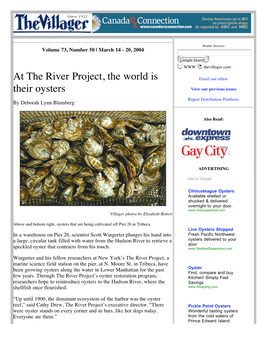 At the River Project, the World Is Their Oysters