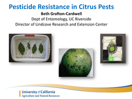 Pesticide Resistance in Citrus Pests