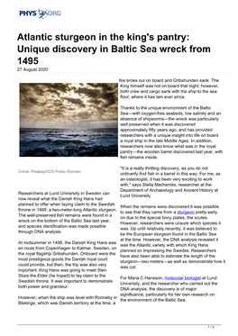 Atlantic Sturgeon in the King's Pantry: Unique Discovery in Baltic Sea Wreck from 1495 27 August 2020