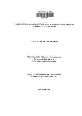 The Peninsular Malaysia Flooding - a Spatio-Temporal Analysis of Precipitation Records