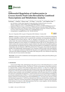 Differential Regulation of Anthocyanins in Cerasus Humilis