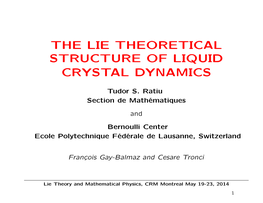 The Lie Theoretical Structure of Liquid Crystal Dynamics