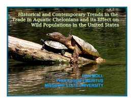 Workshop-Terrestrial-Turtles-Historical-And-Contemporary-Trends-In-Trade-In-Aquatic