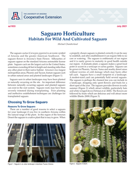 Saguaro Horticulture Habitats for Wild and Cultivated Saguaro Michael Chamberland