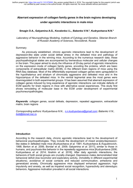 Aberrant Expression of Collagen Family Genes in the Brain Regions Developing Under Agonistic Interactions in Male Mice