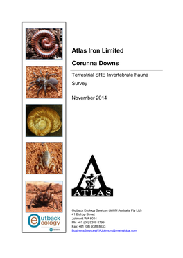 Atlas Iron Limited Corunna Downs: Terrestrial SRE Invertebrate Fauna Survey