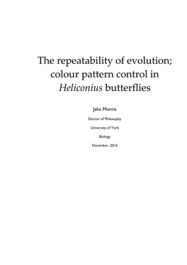 The Repeatability of Evolution; Colour Pattern Control in Heliconius Butterflies