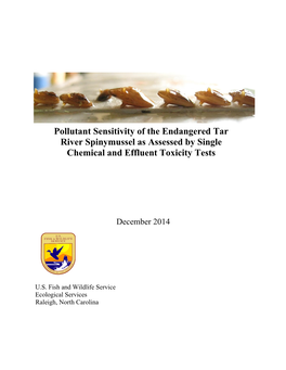 Pdf Version of This Report