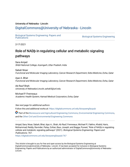 Role of Nadгѕ in Regulating Cellular and Metabolic Signaling Pathways