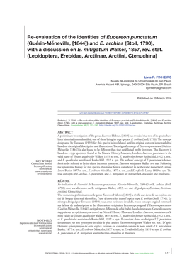 Re-Evaluation of the Identities of Eucereon Punctatum (Guérin-Méneville, [1844]) and E