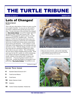 The Turtle Tribune