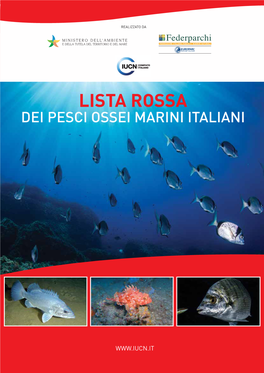 LISTA ROSSA Dei Pesci Ossei Marini Italiani