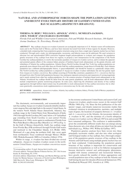 Natural and Anthropogenic Forces Shape the Population Genetics and Recent Evolutionary History of Eastern United States Bay Scallops (Argopecten Irradians )