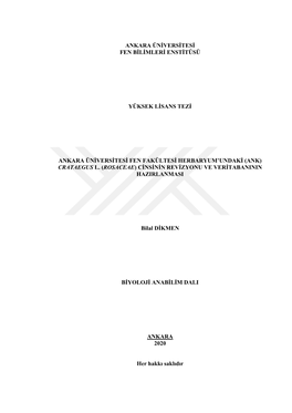 Ankara Üniversitesi Fen Bilimleri Enstitüsü Yüksek Lisans Tezi Ankara Üniversitesi Fen Fakültesi Herbaryum