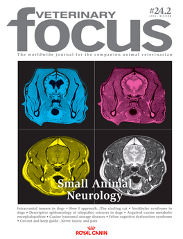 Small Animal Neurology