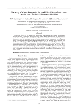 Discovery of a Host Fish Species for Glochidia of Westralunio Carteri Iredale, 1934 (Bivalvia: Unionoidea: Hyriidae)