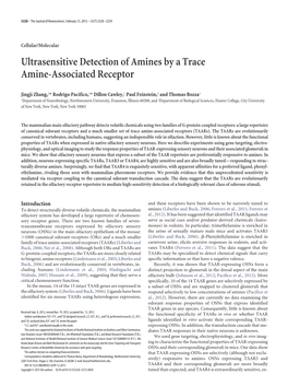 Ultrasensitive Detection of Amines by a Trace Amine-Associated Receptor