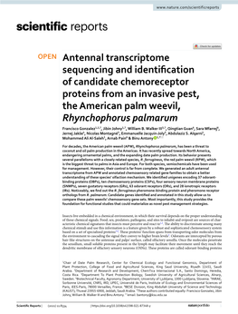 Antennal Transcriptome Sequencing and Identification of Candidate
