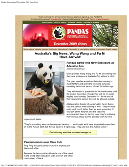 Pandas International November 2009 Newsletter