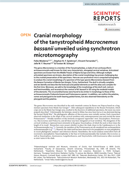 Cranial Morphology of the Tanystropheid Macrocnemus Bassanii Unveiled Using Synchrotron Microtomography Feiko Miedema1,2,3*, Stephan N