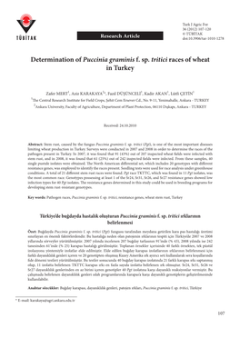 Determination of Puccinia Graminis F. Sp. Tritici Races of Wheat in Turkey