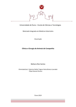 Escola De Ciências E Tecnologias Clínica E