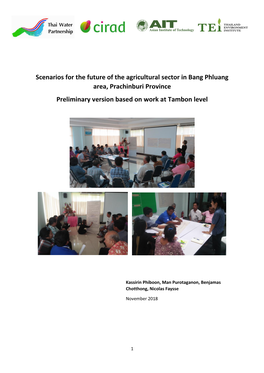 Scenarios for the Future of the Agricultural Sector in Bang Phluang Area, Prachinburi Province Preliminary Version Based on Work at Tambon Level