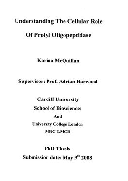 Understanding the Cellular Role of Prolyl Oligopeptidase