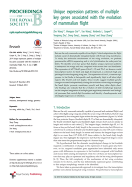 Unique Expression Patterns of Multiple Key Genes Associated with The