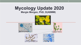 Mycology Update 2020 Margie Morgan, Phd, D(ABMM)