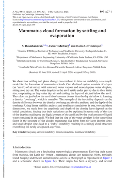 Mammatus Cloud Formation by Settling and Evaporation