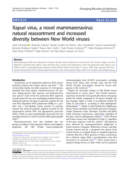 Xapuri Virus, a Novel Mammarenavirus: Natural Reassortment and Increased Diversity Between New World Viruses