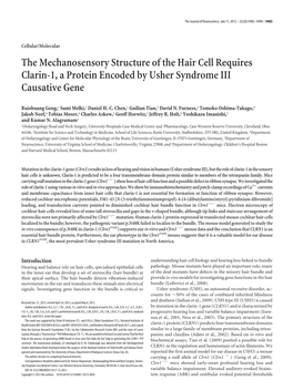 The Mechanosensory Structure of the Hair Cell Requires Clarin-1, a Protein Encoded by Usher Syndrome III Causative Gene