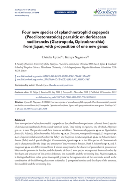 Four New Species of Splanchnotrophid Copepods (Poecilostomatoida)