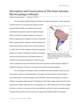 Description and Conservation of the Giant Anteater, Myrmecophaga Tridactyla Author: Stephanie Emery | February 19, 2014