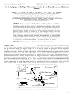 The Biostratigraphy of the Upper Pliensbachian–Toarcian (Lower Jurassic) Sequence at Ilminster, Somerset